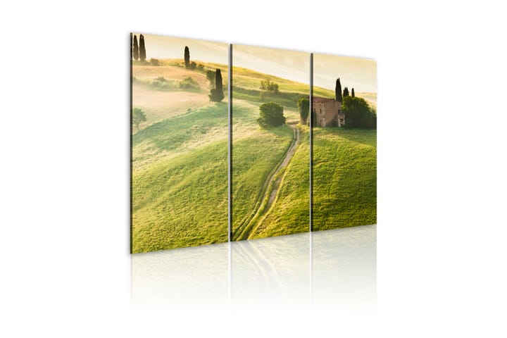 Taulu Under The Tuscan Sun 120x80 - Artgeist sp. z o. o. - Canvas-taulu - Seinäkoristeet