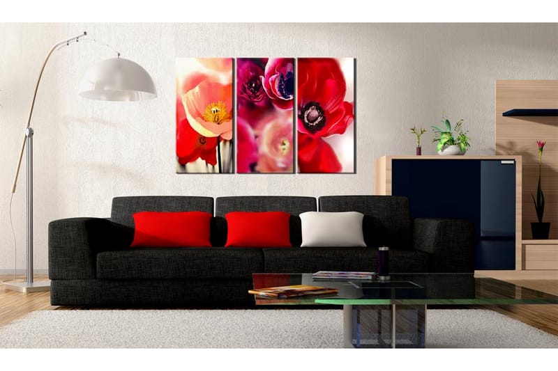 Taulu Unikko Kolme perspektiiviä 60x40 - Artgeist sp. z o. o. - Sisustustuotteet - Taulu & taide - Canvas-taulu