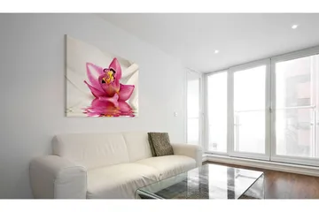 Taulu Unusual Orchid 60x40 - Artgeist sp. z o. o. - Sisustustuotteet - Taulu & taide - Canvas-taulu