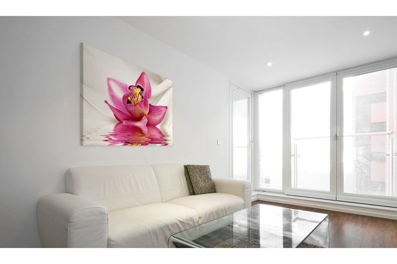 Taulu Unusual Orchid 60x40 - Artgeist sp. z o. o. - Sisustustuotteet - Taulu & taide - Canvas-taulu