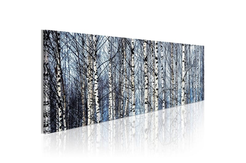 Taulu Valkoiset koivut 120x40, Artgeist sp. z o. o.