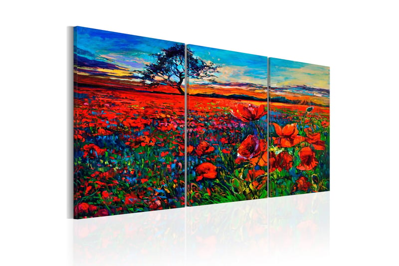 Taulu Valley of Poppies 60x30 - Artgeist sp. z o. o. - Sisustustuotteet - Taulu & taide - Canvas-taulu