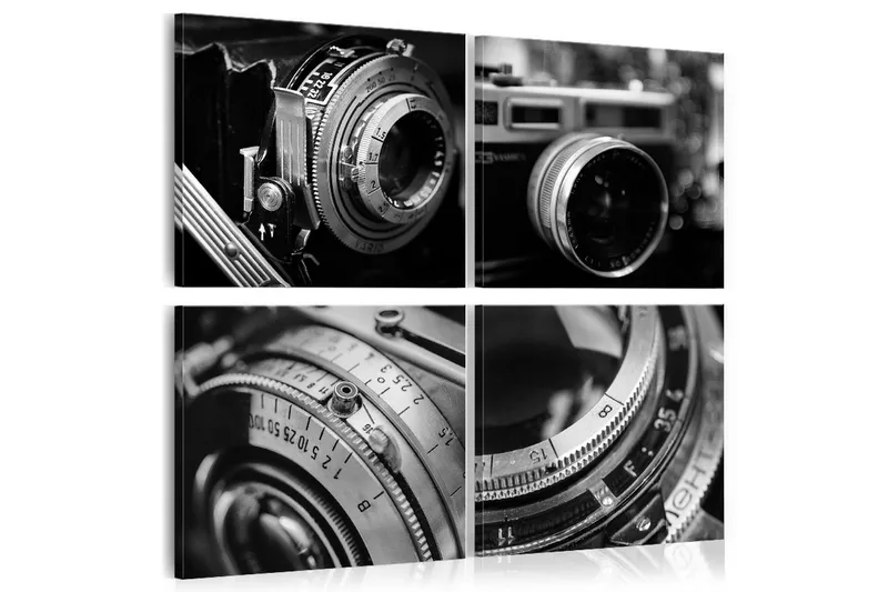Taulu Vintage Cameras 80x80, Artgeist sp. z o. o.