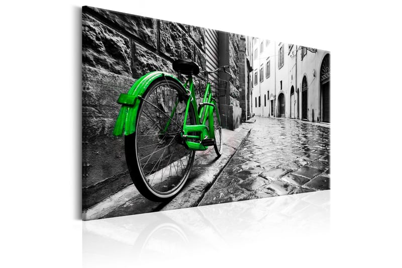 Taulu Vintage Green Bike 90x60 - Artgeist sp. z o. o. - Sisustustuotteet - Taulu & taide - Canvas-taulu