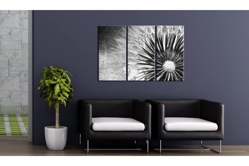 Taulu Voikukka Musta ja valkoinen 60x40 - Artgeist sp. z o. o. - Sisustustuotteet - Taulu & taide - Canvas-taulu