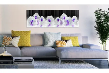 Taulu Water Orchids 120x40 - Artgeist sp. z o. o. - Sisustustuotteet - Taulu & taide - Canvas-taulu