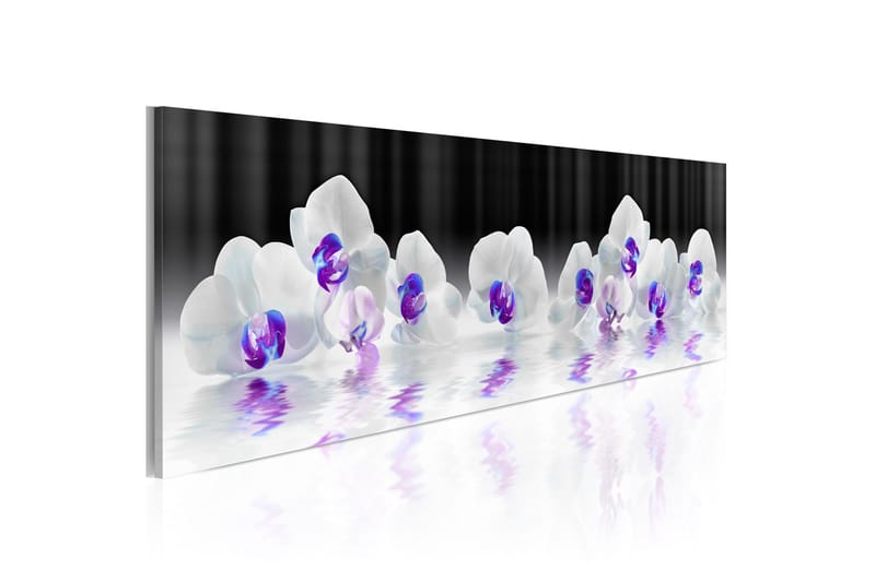 Taulu Water Orchids 120x40, Artgeist sp. z o. o.