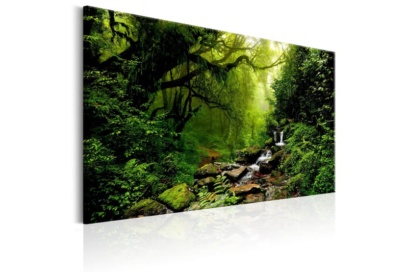 Taulu Waterfall in the Forest 120x80 - Artgeist sp. z o. o. - Sisustustuotteet - Taulu & taide - Canvas-taulu