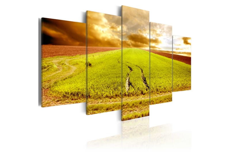 Taulu Wheels Traces On A Field 100x50, Artgeist sp. z o. o.