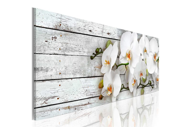 Taulu White Dreams 135x45 - Artgeist sp. z o. o. - Sisustustuotteet - Taulu & taide - Canvas-taulu