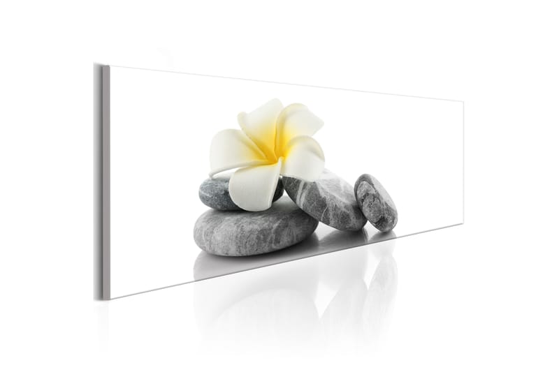Taulu White Lotus 150x50 - Artgeist sp. z o. o. - Sisustustuotteet - Taulu & taide - Canvas-taulu