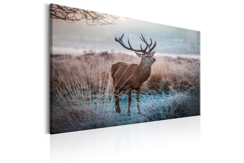 Taulu Wild Animal 120x80 - Artgeist sp. z o. o. - Sisustustuotteet - Taulu & taide - Canvas-taulu
