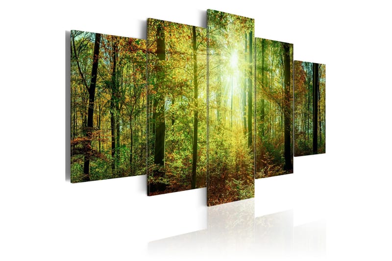 Taulu Wild Forest 100x50, Artgeist sp. z o. o.