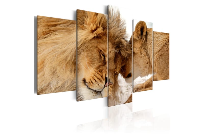 Taulu Wild Love 200x100, Artgeist sp. z o. o.
