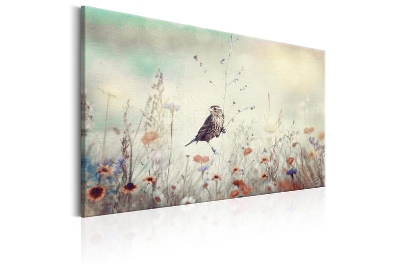 Taulu Wild Meadow 90x60 - Artgeist sp. z o. o. - Sisustustuotteet - Taulu & taide - Canvas-taulu