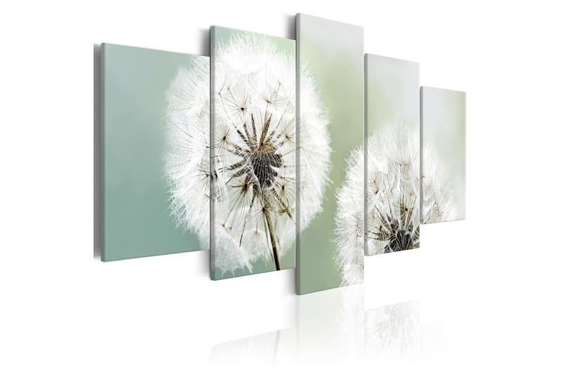Taulu Windless Morning 200x100 - Artgeist sp. z o. o. - Sisustustuotteet - Taulu & taide - Canvas-taulu
