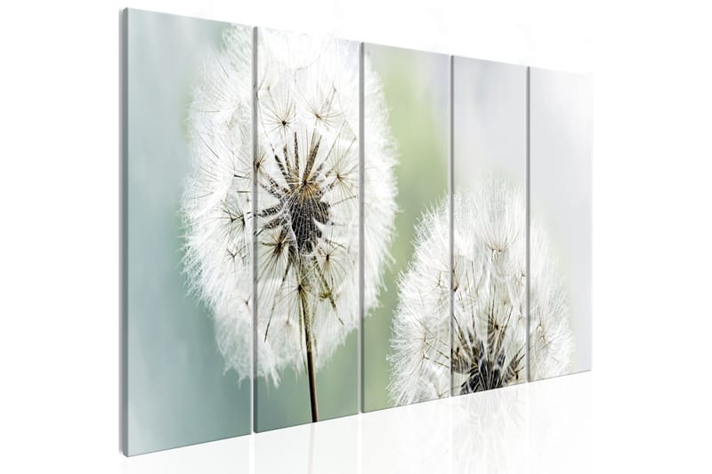 Taulu Windless Morning 5 Parts Narrow 200x80, Artgeist sp. z o. o.
