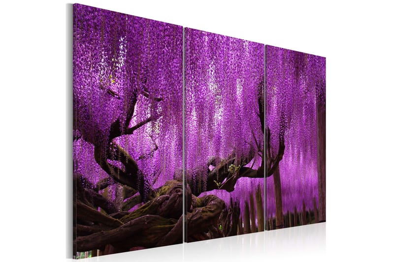 Taulu Wisteria 120x80, Artgeist sp. z o. o.