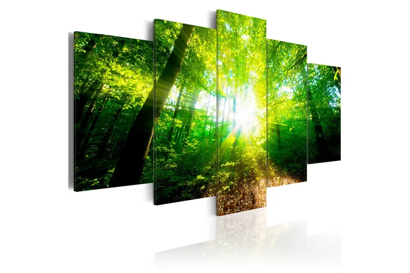 Taulu Wonderful Morning 200x100, Artgeist sp. z o. o.