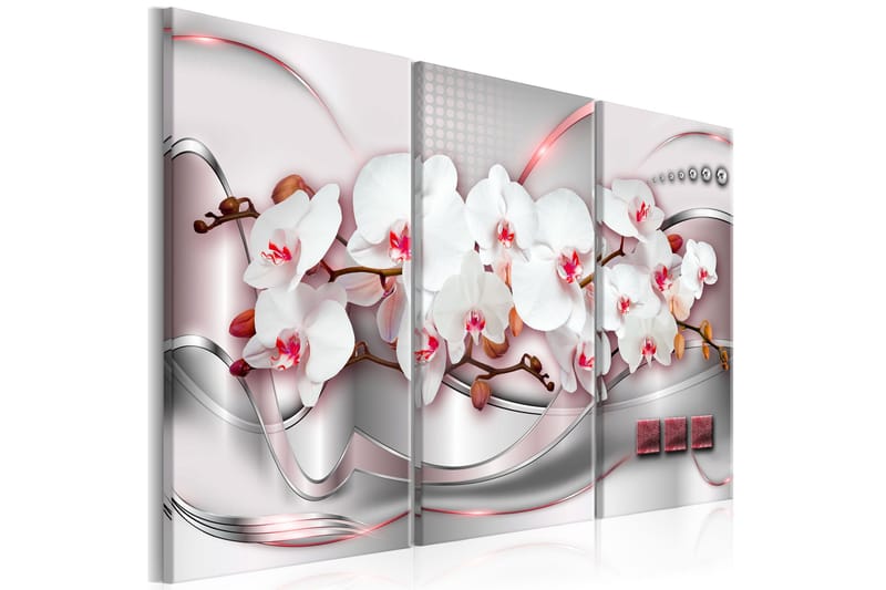 Taulu Wonderful Orchids 120x80, Artgeist sp. z o. o.