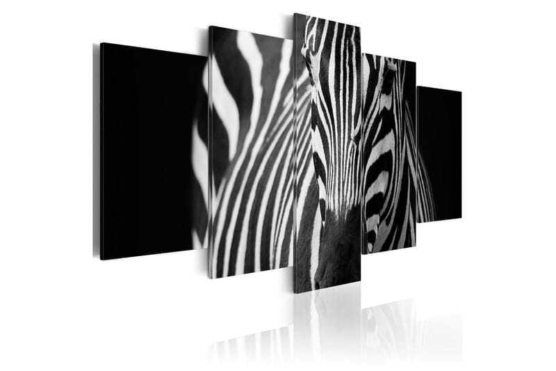 Taulu Zebra Look 100x50, Artgeist sp. z o. o.