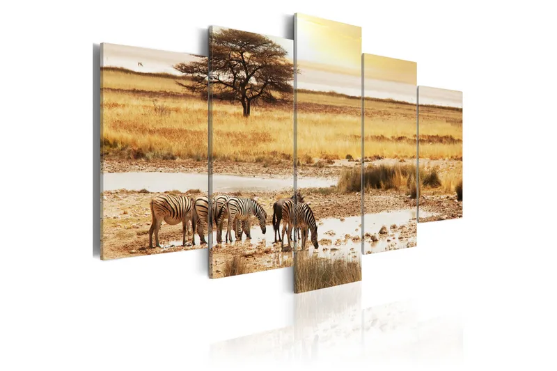 Taulu Zebras On A Savannah 100x50, Artgeist sp. z o. o.