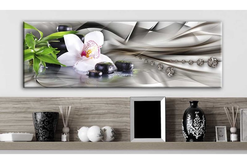 Taulu Zen Composition Bamboo Orchid And Kivis 120x40 - Artgeist sp. z o. o. - Sisustustuotteet - Taulu & taide - Canvas-taulu