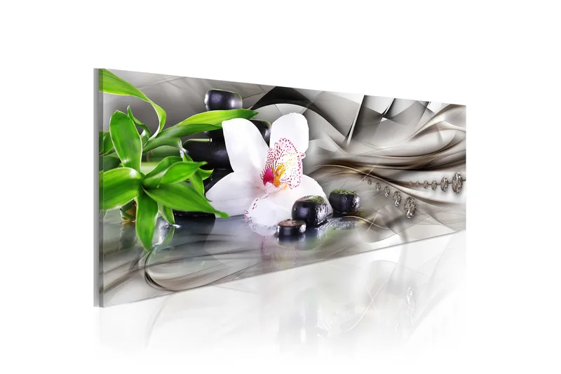 Taulu Zen Composition Bamboo Orchid And Kivis 135x45, Artgeist sp. z o. o.