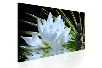 Taulu Zen Garden 1 Part Narrow 150x50