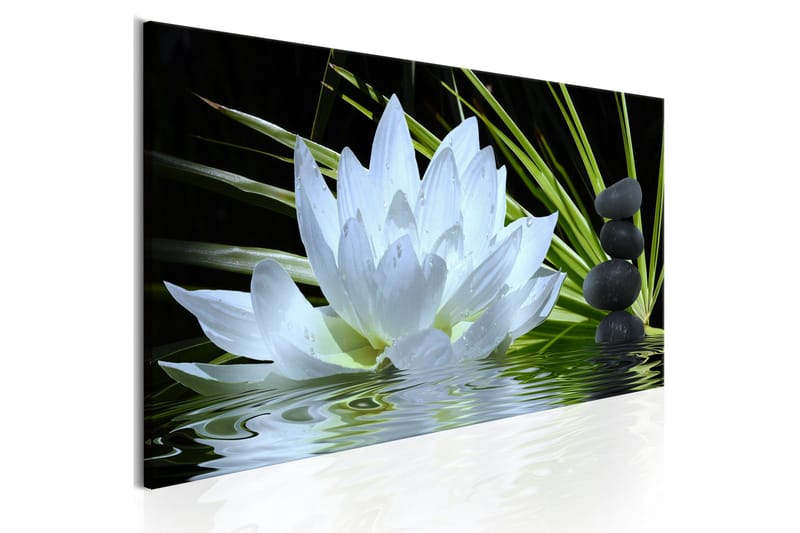 Taulu Zen Garden 1 Part Narrow 135x45, Artgeist sp. z o. o.