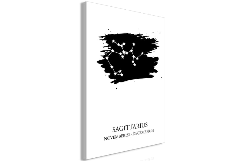 Taulu Zodiac Signs: Sagittarius (1 Part) Vertical 40x60 - Artgeist sp. z o. o. - Sisustustuotteet - Taulu & taide - Canvas-taulu