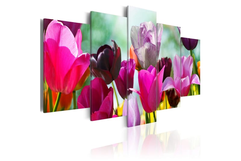 Taulu Pink Fun 200x100, Artgeist sp. z o. o.