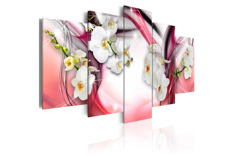 Taulu Pink Melody 100x50 - Artgeist sp. z o. o. - Sisustustuotteet - Taulu & taide - Canvas-taulu