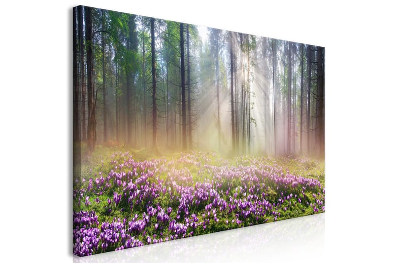 Taulu Purple Meadow (1 Part) Wide 120x60 - Artgeist sp. z o. o. - Sisustustuotteet - Taulu & taide - Canvas-taulu