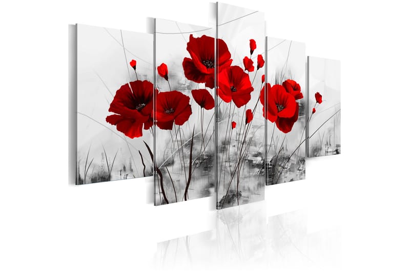 Taulu Poppy red miracle 200x100 - Artgeist sp. z o. o. - Canvas-taulu - Seinäkoristeet