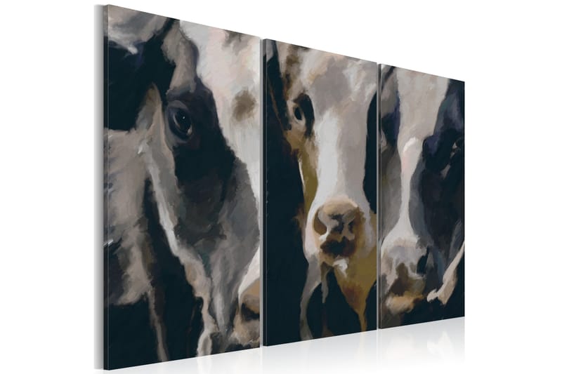 Taulu Piebald Cow 60x40, Artgeist sp. z o. o.