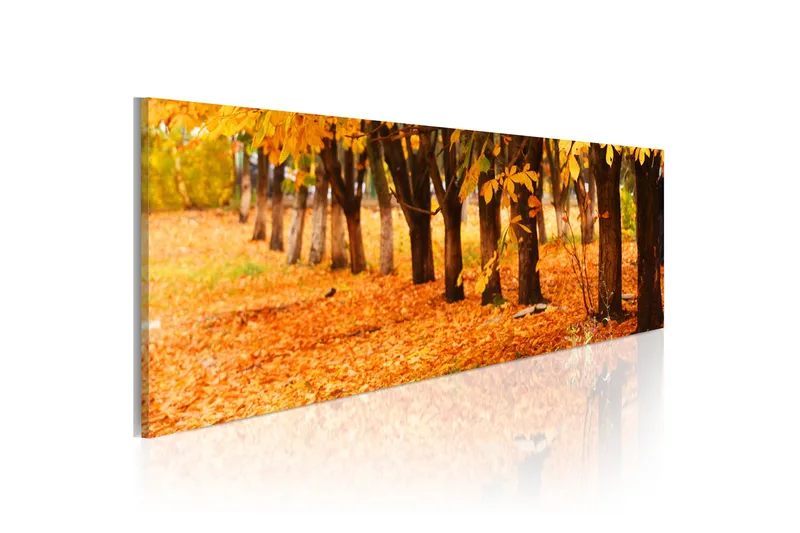 Taulu Park Covered With Golden Leaves 120x40, Artgeist sp. z o. o.