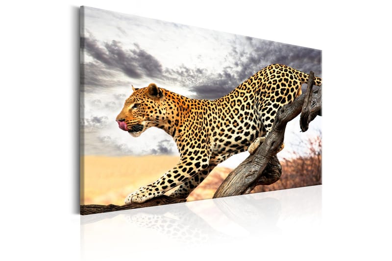 Taulu Predatory Stare 60x40 - Artgeist sp. z o. o. - Sisustustuotteet - Taulu & taide - Canvas-taulu