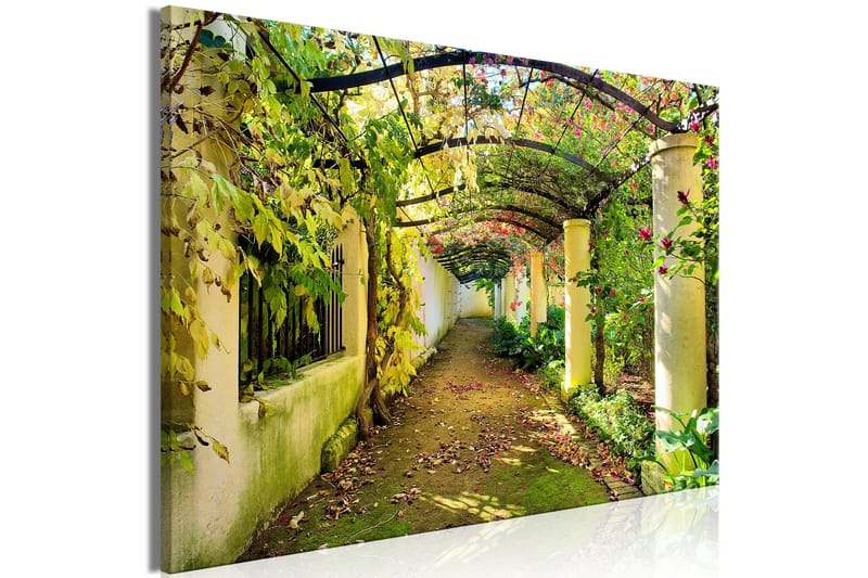 Taulu Pergola (1 Part) Wide 90x60 - Artgeist sp. z o. o. - Sisustustuotteet - Taulu & taide - Canvas-taulu