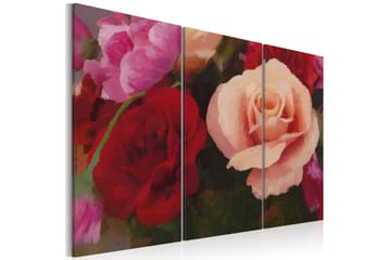 Taulu Perfect in every inch 90x60