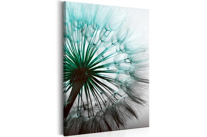 Taulu Perfect Dandelion 40x60 - Artgeist sp. z o. o. - Sisustustuotteet - Taulu & taide - Canvas-taulu
