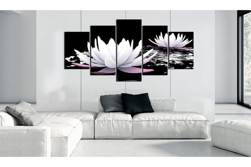 Taulu Passing Beauty 100x50 - Artgeist sp. z o. o. - Sisustustuotteet - Taulu & taide - Canvas-taulu