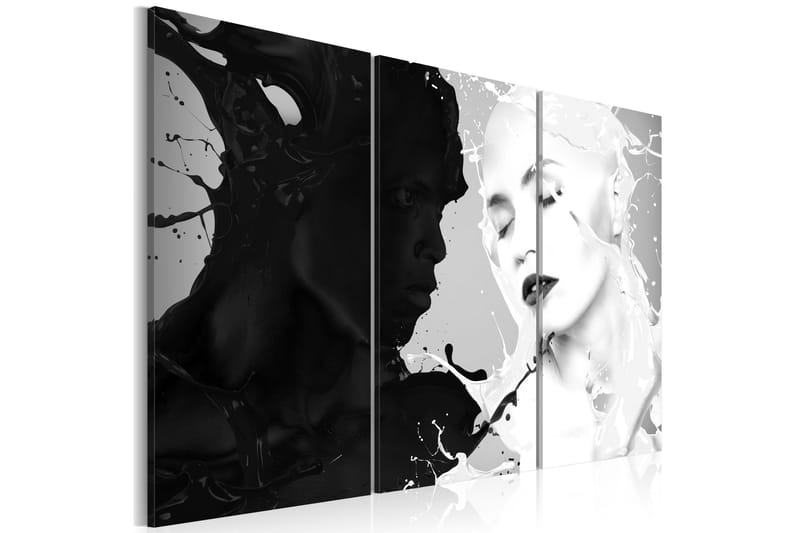 Taulu Paradox Of Feelings 120x80 - Artgeist sp. z o. o. - Sisustustuotteet - Taulu & taide - Canvas-taulu