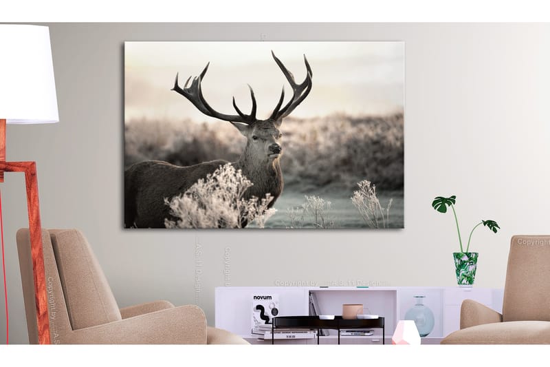 Taulu Powerful Horns 120x80, Artgeist sp. z o. o.