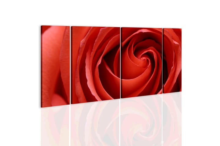 Taulu Passionate Rose 120x60 - Artgeist sp. z o. o. - Canvas-taulu - Seinäkoristeet