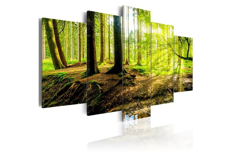 Taulu Poetry Of A Forest 100x50 - Artgeist sp. z o. o. - Canvas-taulu - Seinäkoristeet