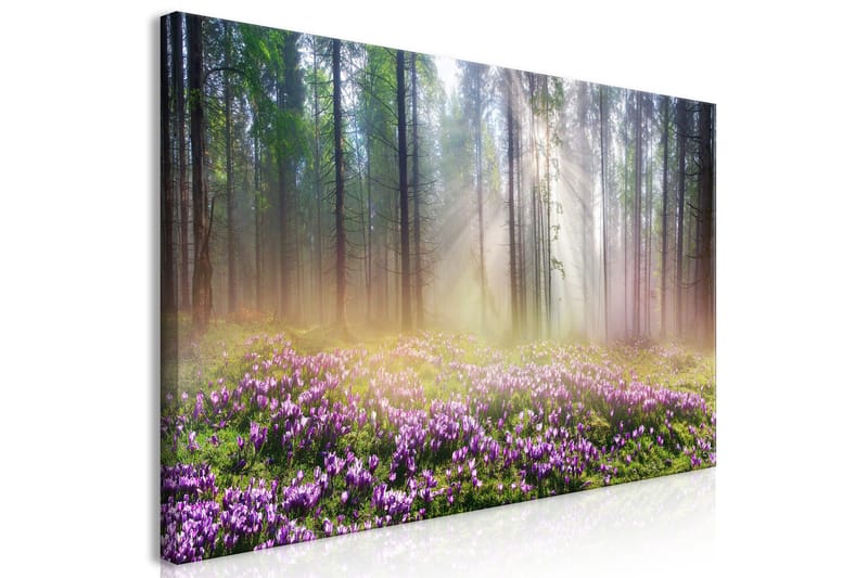 Taulu Purple Meadow (1 Part) Wide 120x60 - Artgeist sp. z o. o. - Sisustustuotteet - Taulu & taide - Canvas-taulu