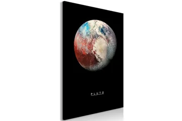 Taulu Pluto (1 Part) Vertical 60x90 - Artgeist sp. z o. o. - Sisustustuotteet - Taulu & taide - Canvas-taulu