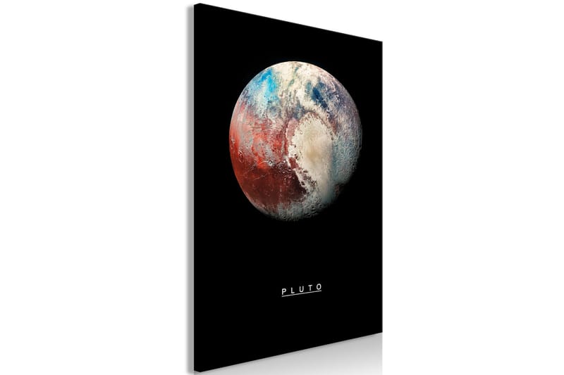 Taulu Pluto (1 Part) Vertical 40x60 - Artgeist sp. z o. o. - Sisustustuotteet - Taulu & taide - Canvas-taulu
