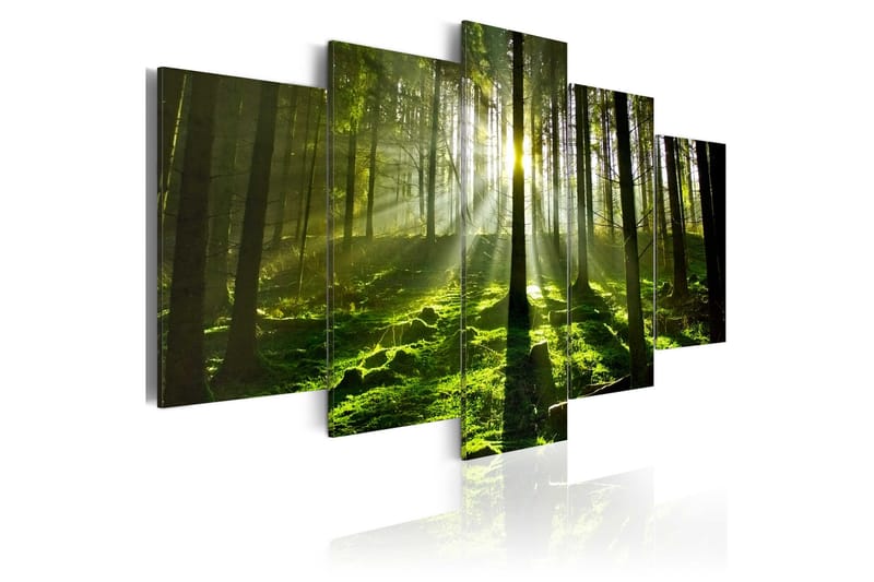 Taulu Peace Of Mind 100x50, Artgeist sp. z o. o.